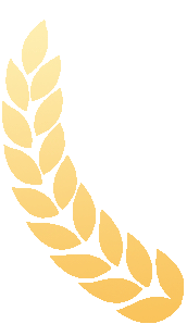 【喜报】工学一体铸匠才 课堂创新结硕果——智能制造学院工学一体化课堂获人社部优质课堂认定 